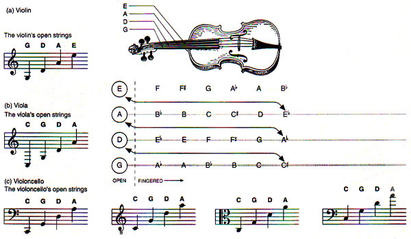 Viola Strings Chart