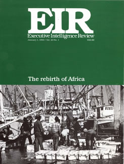 f11-3-eir_cover_rebirth_africa_v20_n1.pdf
