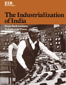 f11-4-industrialization_of_india.jpg